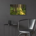 thumbnail image 6 of Epic Art 'Tree Sunset 1' by Joe Reimer Photography, Acrylic Glass Wall Art, 24"x16", 6 of 8