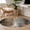 Brown, variant on Brown Round Area Rug 3 FT, Small Kitchen Bathroom Mats, Abstract Art Modern Ombre Oil Painting Washable Indoor Outdoor Throw Runner Carpet Non-Shedding Doormat for Table Shower Sofa Entryway