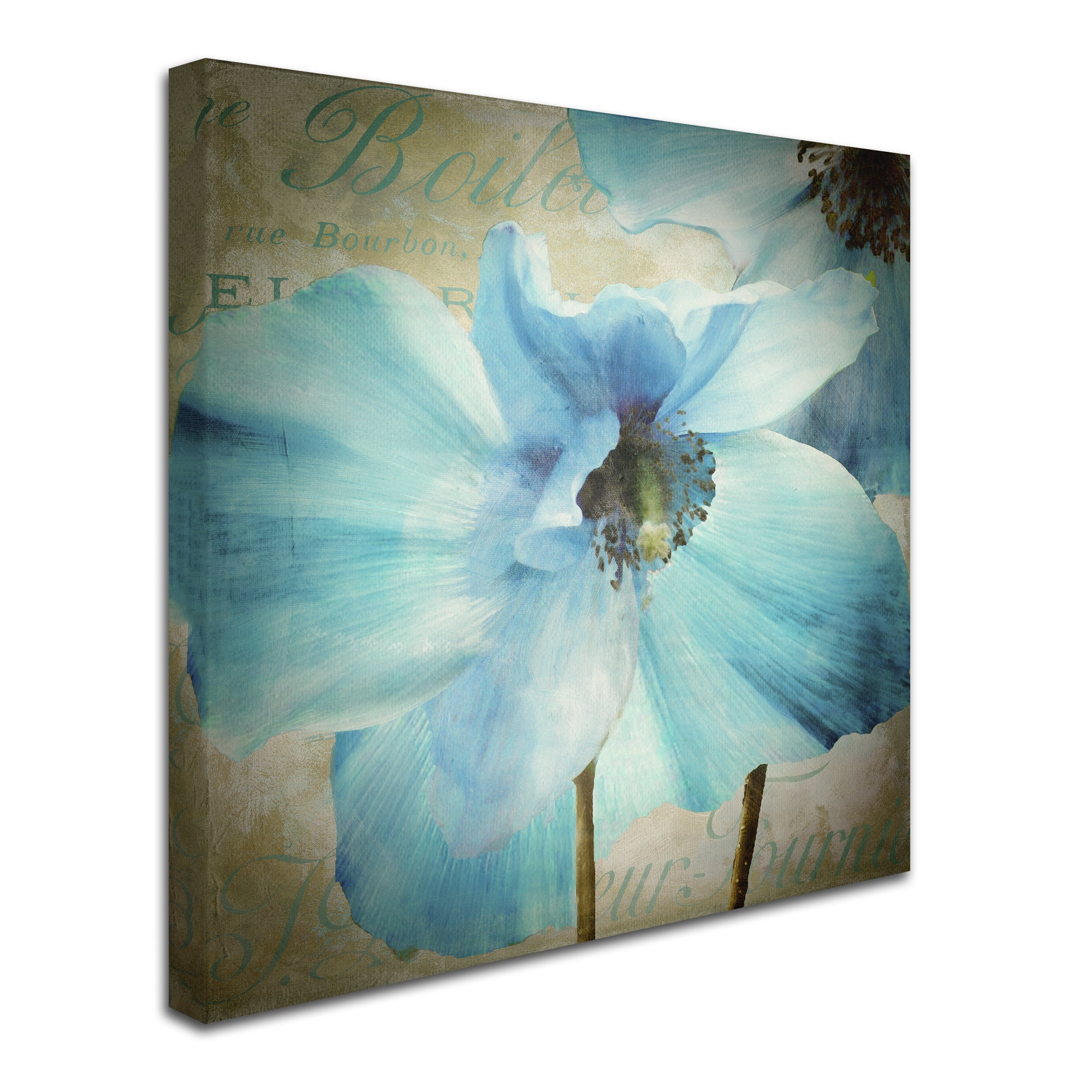 Trademark Fine Art "Himalayan Blue II" Canvas Art by Color Bakery