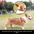 thumbnail image 4 of Correa para perros de razas grandes y pequeñas, cadena de hierro antimordeduras, cuerda para pasear perros, accesorios para perros, golden retriever, 4 of 5