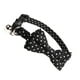 thumbnail image 3 of EeaseMX Pajaritas con cascabel para mascotas, collar creativo y cómodo, anilla para el cuello, práctico collar para perros y gatos (negro), 3 of 7