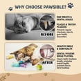 thumbnail image 3 of Pawsible 5 Pack Colorful Cactus Cat Toy Set, 100% Premium Cat Herb Filling, Natural Stimulation for Cats, Soft Teething Toys, Perfect Kitten Toys, 3 of 8