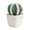 B, variant on Nnndbs 4Pcs Mini Artificial Cactus , Small Succulent with White Ceramic Pot for Desk Office Shelf, Lifelike No Water Cactus Decor for Home Farmhouse Bathroom