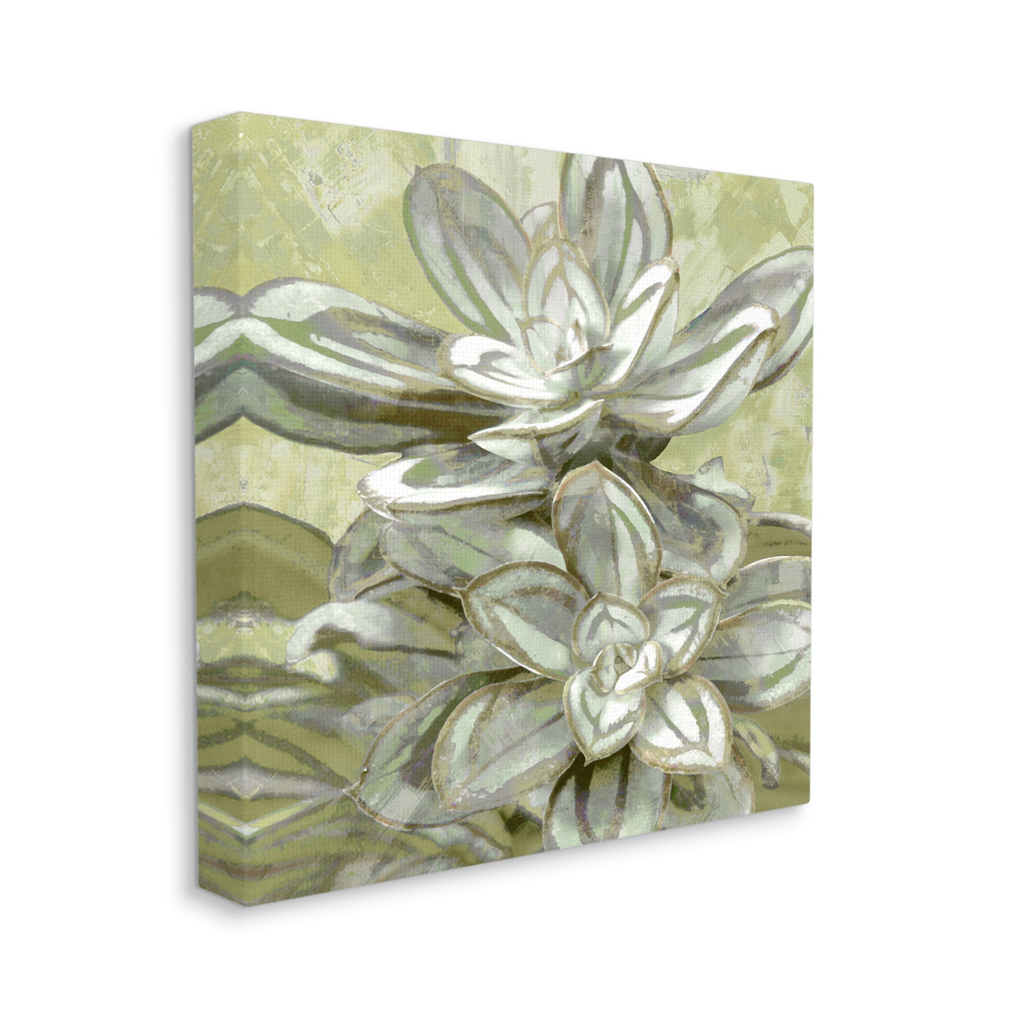 Stupell Industries Succulent Plant Leaves Blooming Botanical & Floral Painting Gallery Wrapped Canvas Print Wall Art