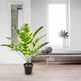 thumbnail image 3 of Cateissary Simulación de planta falsa, decoración de plantas de árboles artificiales, accesorios de adorno de moda para el hogar, sala de estar y oficina Decoración 18 hojas 82cm Cateissary HA073011-02, 3 of 6