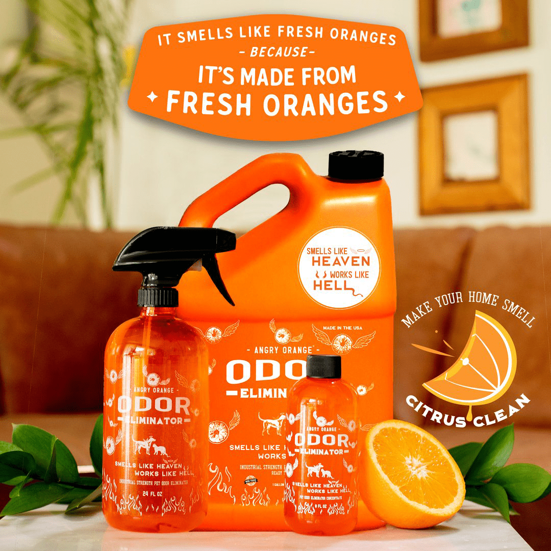 angry orange pet odor eliminator