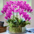 thumbnail image 6 of Artificial Orchid Stems Set of 3 Real Touch Orchid Big Blooms Fake Phalaenopsis Flower Home Wedding Decoration (3 PCS/ 29.5 inch), 6 of 7