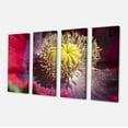 thumbnail image 2 of Colorful Opium Poppy Flower Photo - Flowers Canvas Wall Artwork, 2 of 3