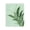 Gentle Lily of Valley, variant on Stupell Industries French Country Fall Botanicals Fresh Ferns Canvas Art, 16 x 20, by Elizabeth Medley