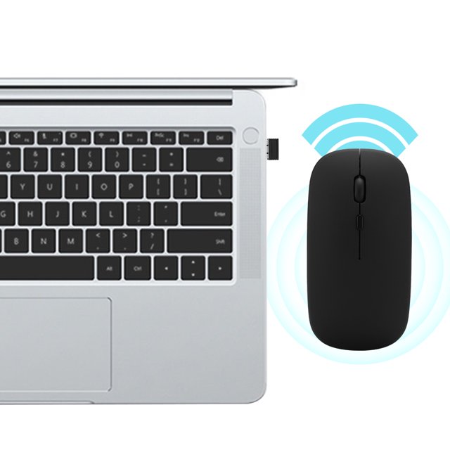 Souris Sans Fil Double Mode 2,4G pour 98 / Me / 2000 / XP / Vista / 7 / Win8