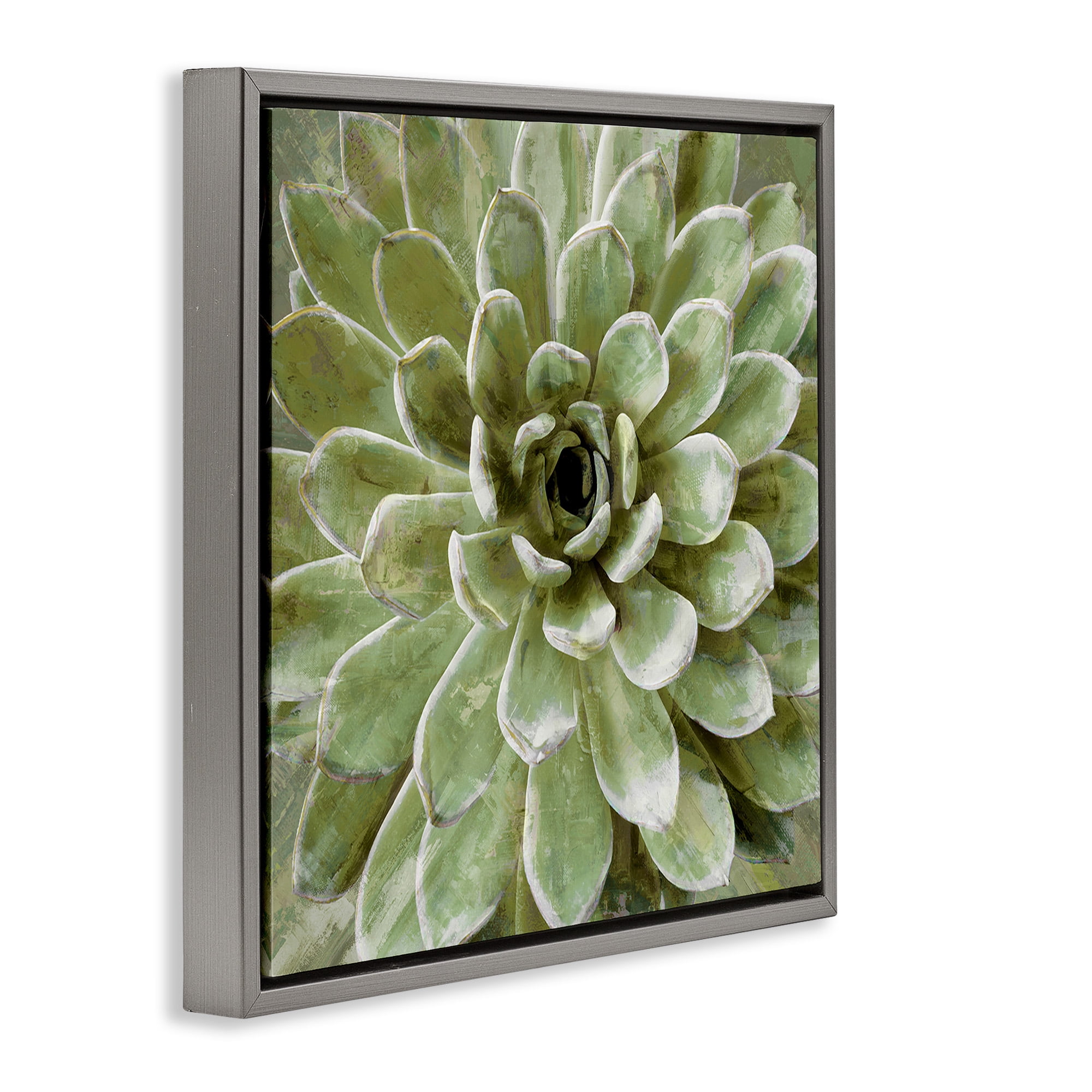 Stupell Industries Green Botanical Succulent Bloom Botanical & Floral Painting Gray Floater Framed Canvas Art Print Wall Art, 18 x 18