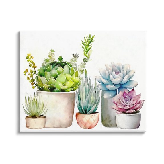 Stupell Industries Succulent Plants Floral Nature Botanical & Floral Painting Gallery Wrapped Canvas Print Wall Art