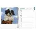 thumbnail image 3 of I Love Puppies 2025 6 X 7.75 Inch Spiral-Bound Wire-O Weekly Engagement Planner Calendar New Full-Color Image Every Week (Desk), 3 of 9