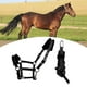 thumbnail image 4 of Práctico caballo Brida Rein Halter Headstall Longitud Equipo ecuestre densidad Esponja suave Cojín Correas Arnés Cuerda Negro shamjiam Riendas de caballo, 4 of 8