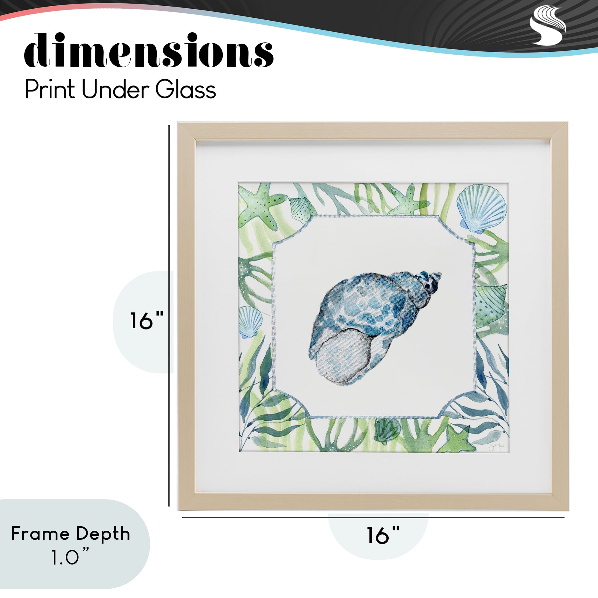 Stupell Industries Spotted Cowrie with Seaweed Birch Framed Print Under Glass, design by Janet Tava