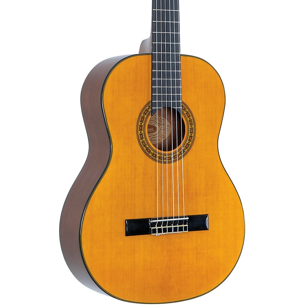 Washburn C40 Classical Guitar