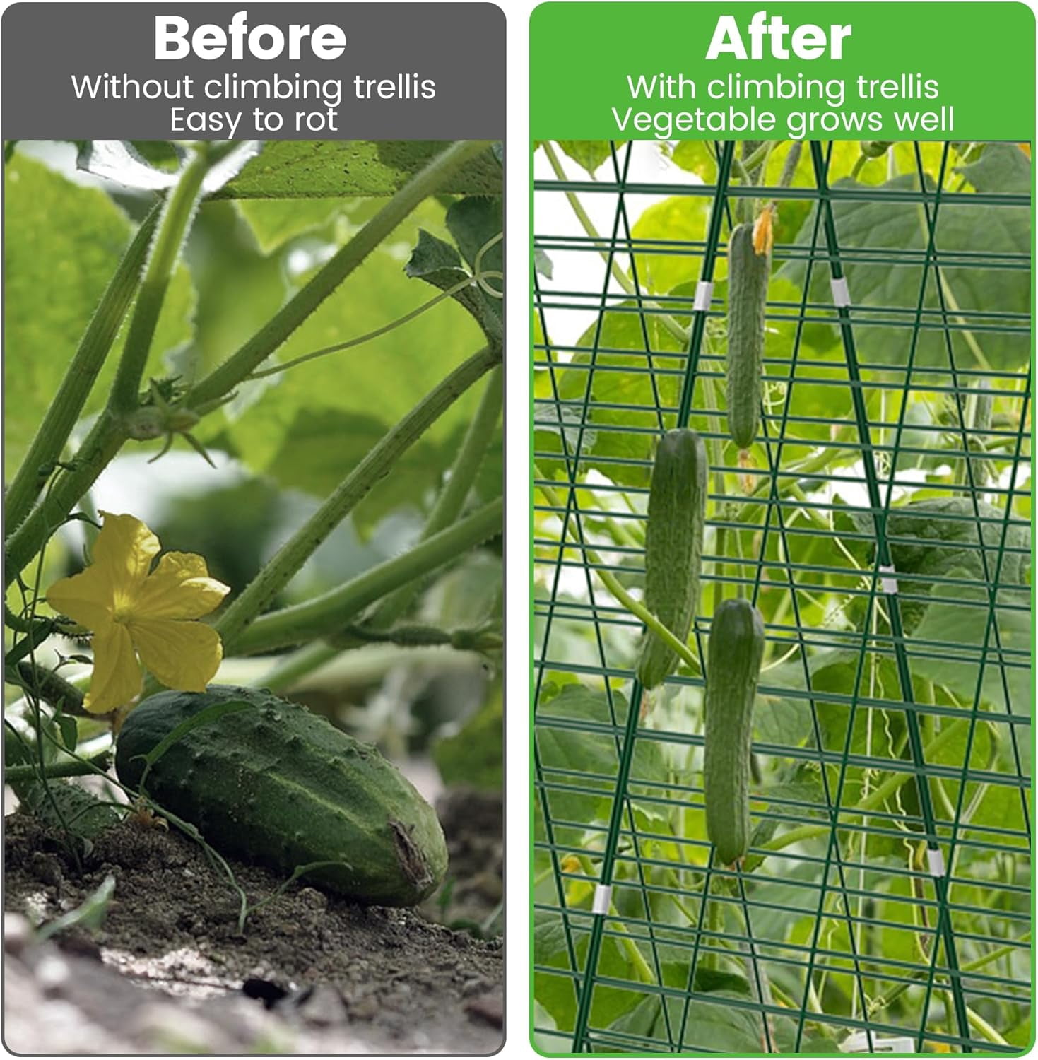 Foldable Cucumber Trellis - 3 Pack, 48" L x 34" W A-Frame Trellis, Climbing Plants Support Raised Bed Trellis, with Twist Ties & Plant Bags for Outdoor Yards Gardens