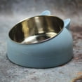thumbnail image 5 of 15 Degree Tilted Pet Cat Bowl Stainless Steel Puppy Cats Food Drink Water Feeder with Non-slip Base Neck Protection Dish Bowl, 5 of 9