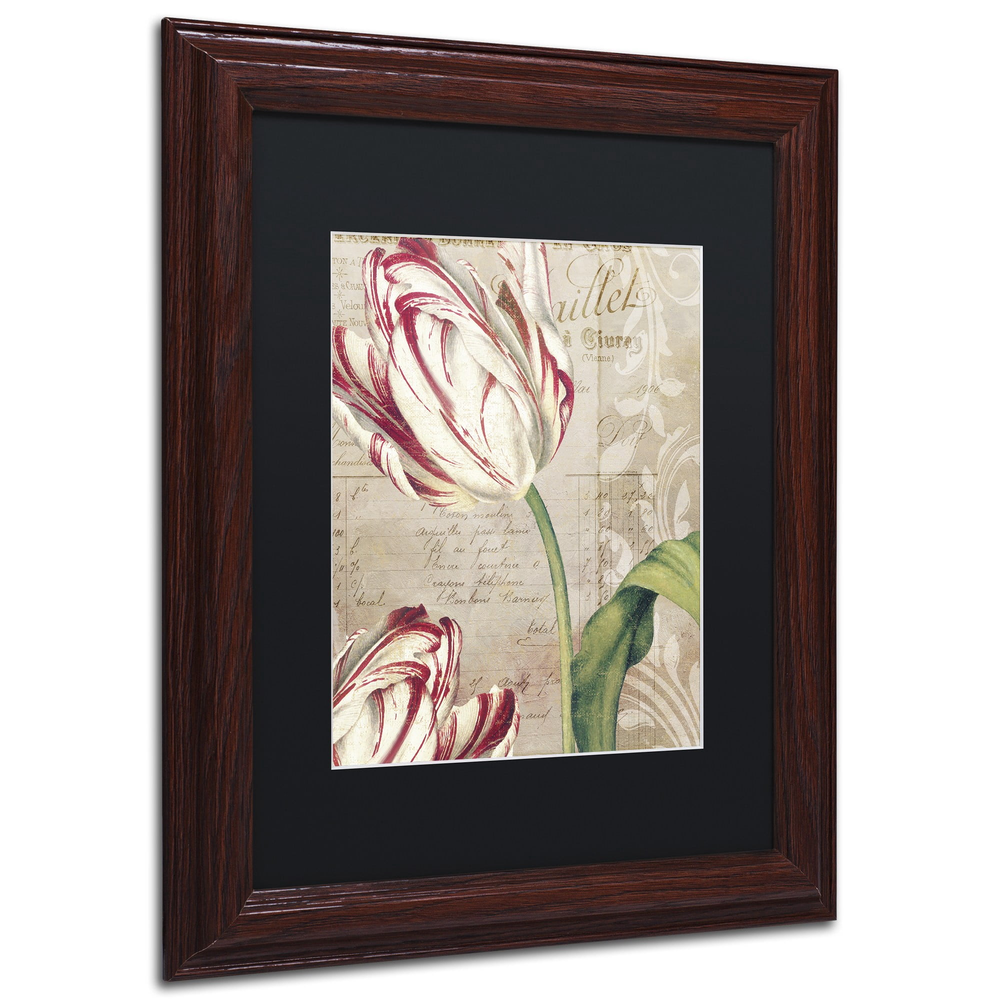 Trademark Fine Art "Tulips" Canvas Art by Color Bakery, Black Matte, Wood Frame