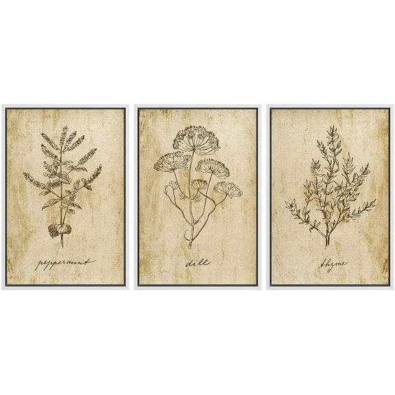 wall26 Framed Canvas Print Wall Art Set Vintage Retro Plant Herb Seasonings Nature Floral Illustrations Modern Art Rustic Botanical Relax/Calm for Living Room, Bedroom, Office - 16"x24"x3 W