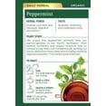 thumbnail image 4 of Traditional Medicinals Tea, Organic Peppermint, Tea Bags, 16 Count, 4 of 11