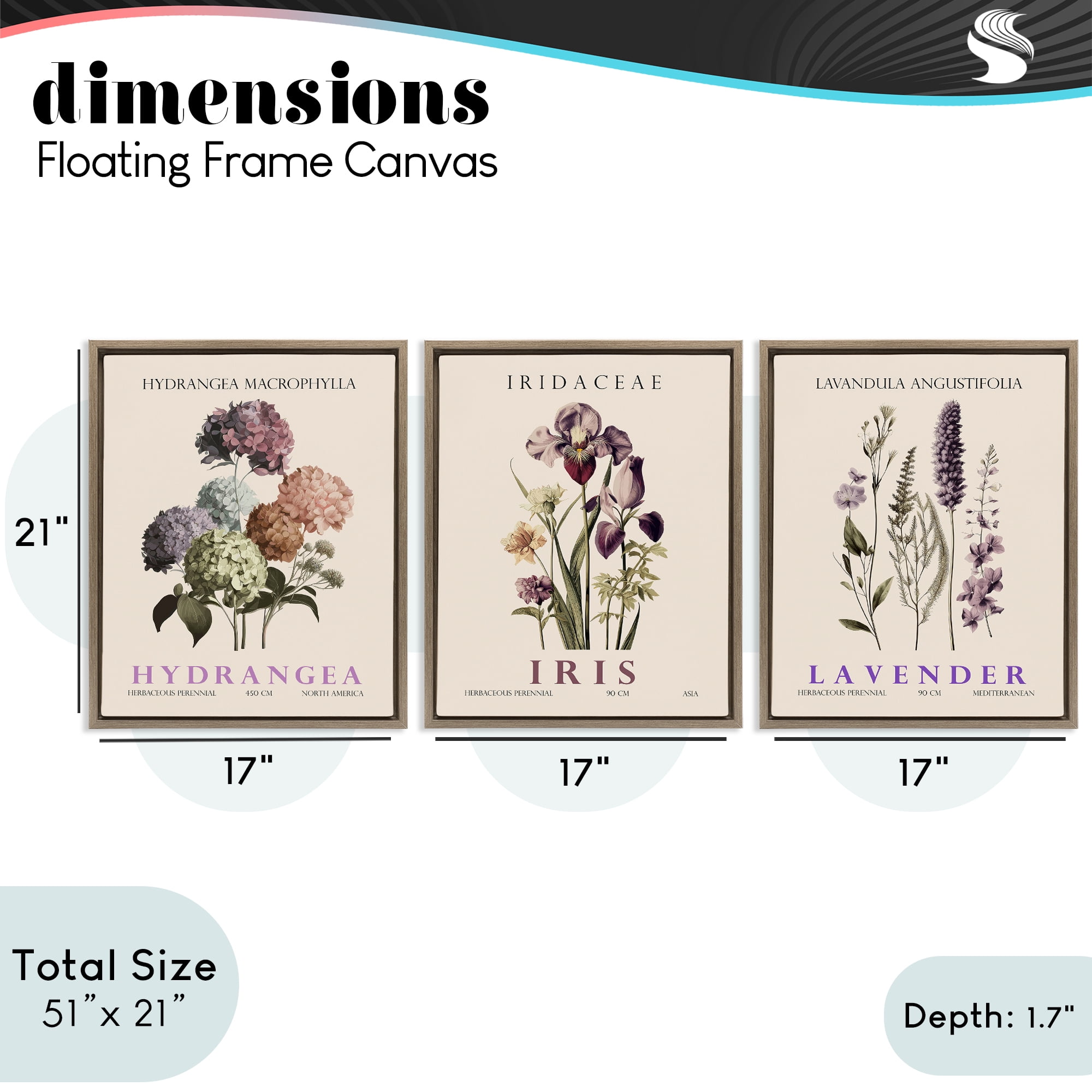 Stupell Industries Botanical Bundles & Sprigs 3 Piece Brown Framed Floater Canvas Set, design by Christopher Giampietro