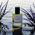thumbnail image 2 of Eternal Perfume Oils Lavender Latte Perfume Oil for Women & Men, 1 fl oz (30 mL) Dropper Bottle, Alcohol-Free Long-Lasting Concentrated Fragrance, 2 of 7