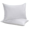 Beautyrest Allergen Pillow