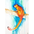 thumbnail image 2 of Allante, Marc 11x14 White Modern Wood Framed Museum Art Print Titled - Giant Red Flying Squirrel (Habitat), 2 of 4