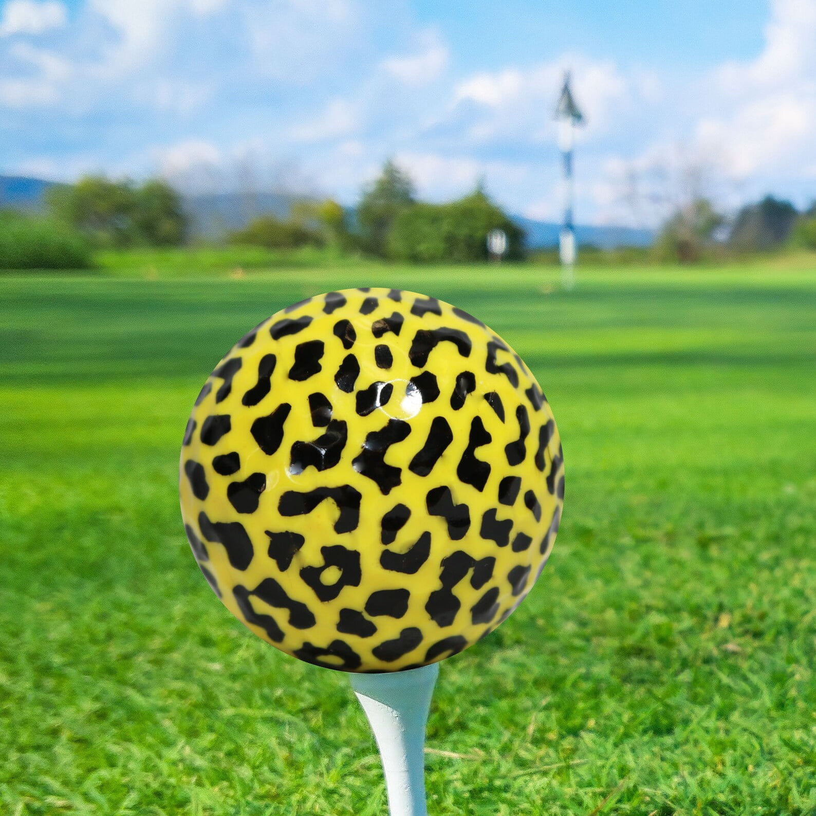 Leopard Print Golf Balls 12 Pack