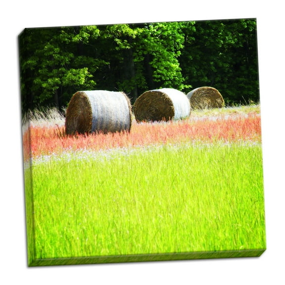 Gango Home Decor Contemporary Spring Fields II by Alan Hausenflock (Ready to Hang); One 24x24in Hand-Stretched Canvas