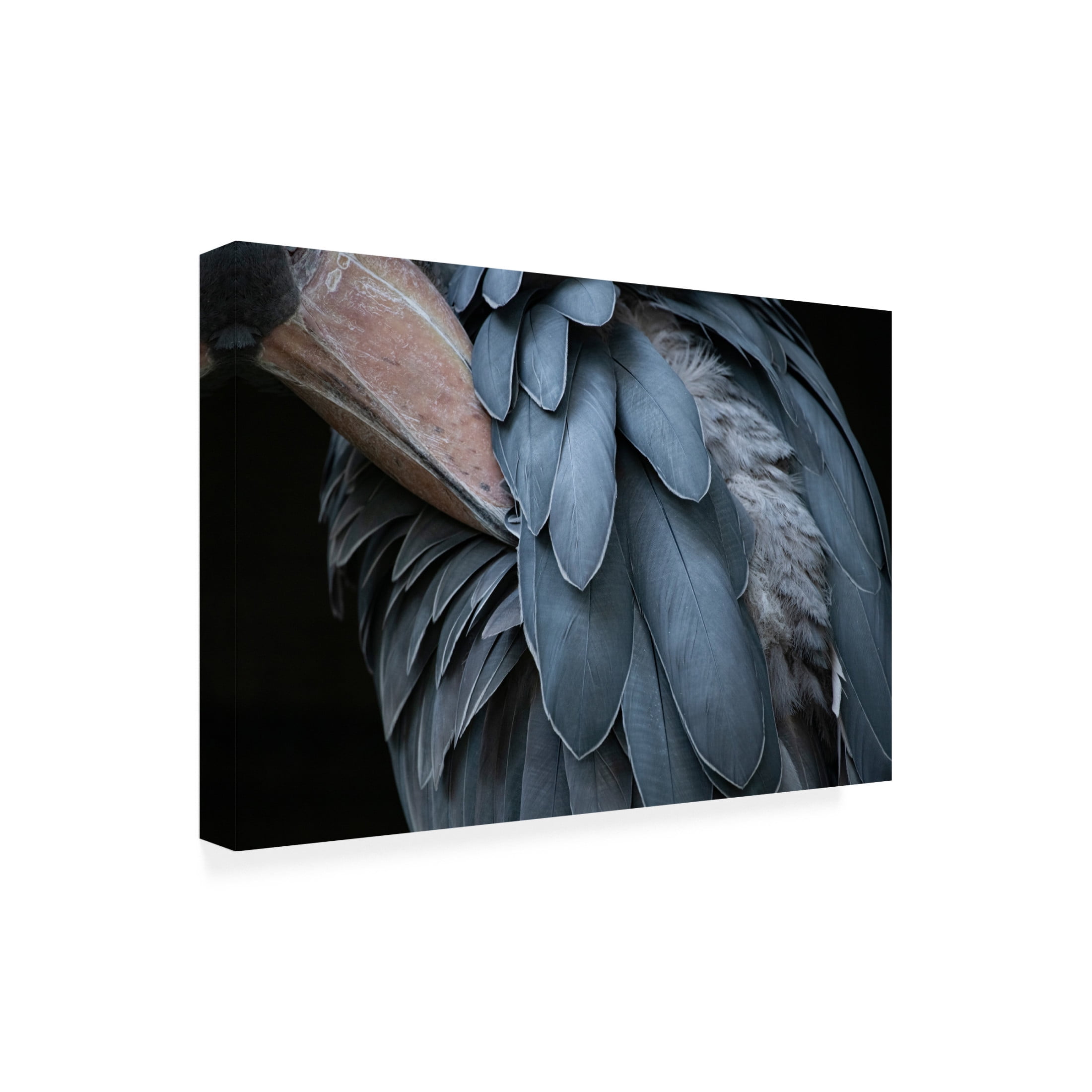Trademark Fine Art Juri Aoki Feather Canvas Wall Art