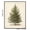 9.84x7.87Inch_1Pc, variant on Vintage Christmas Tree Wall Art Print – Antique Botanical Pines Illustration, Rustic Fir Sketch Holiday Poster, Unframed 9.84 x 7.87 Inch Winter Wall Decor for Christmas Home