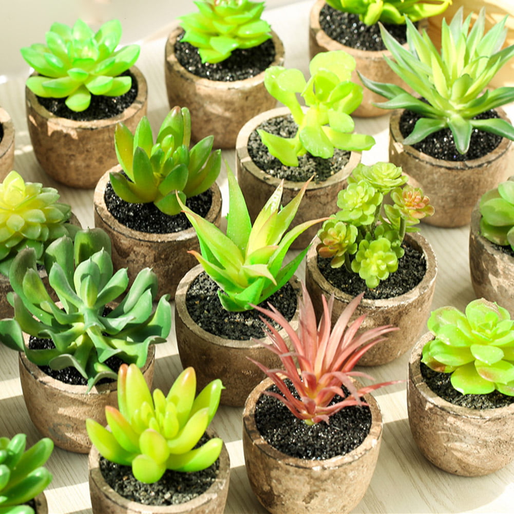 4pcs/Lot Plastic Flower Pot Succulent Plant Planters For Home Office Decoration 