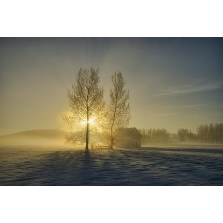 Small Cabasa - Calgary Alberta Canada A Small Pioneer School In A Misty Winter Sunrise Stretched Canvas - Philippe Widling Design Pics (18 x 12)