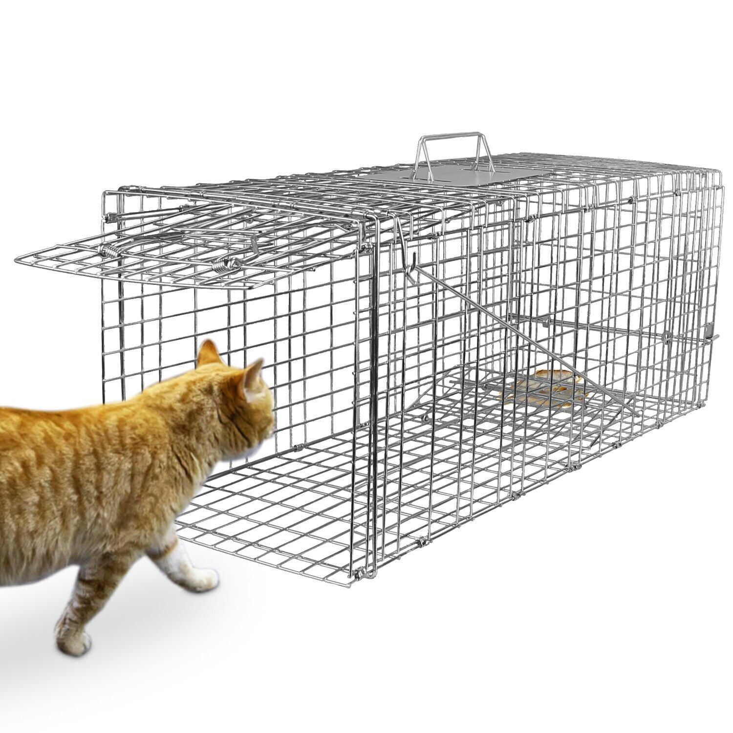 32"x12.5"x12" Humane Live Animal Trap Cage Control Raccoon, Skunk