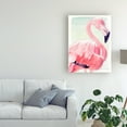 thumbnail image 3 of Trademark Fine Art 'Pastel Flamingo II' Canvas Art by Jennifer Paxton Parker, 3 of 3