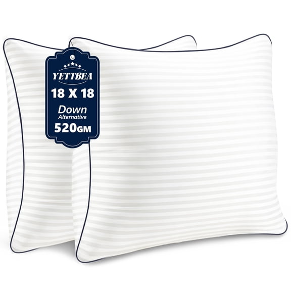 18x18 Inch Square Throw Pillow Inserts Set of 2, Down Alternative Filled Decorative Cushions for Sofa Bed Living Room, White