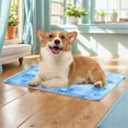 thumbnail image 3 of Chill Out Gel Pet Cooling Mat for Summer - Portable Water-Filled Ice Pad, Durable & Waterproof, Perfect for Cats & Dogs, Compact Foldable Design, Multi-Use Comfort Cushion, 30x40cm (Sky Blue, 3 of 7