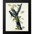 thumbnail image 2 of Audubon, John James 15x18 Black Modern Framed Museum Art Print Titled - Three-toed Woodpecker, 2 of 5