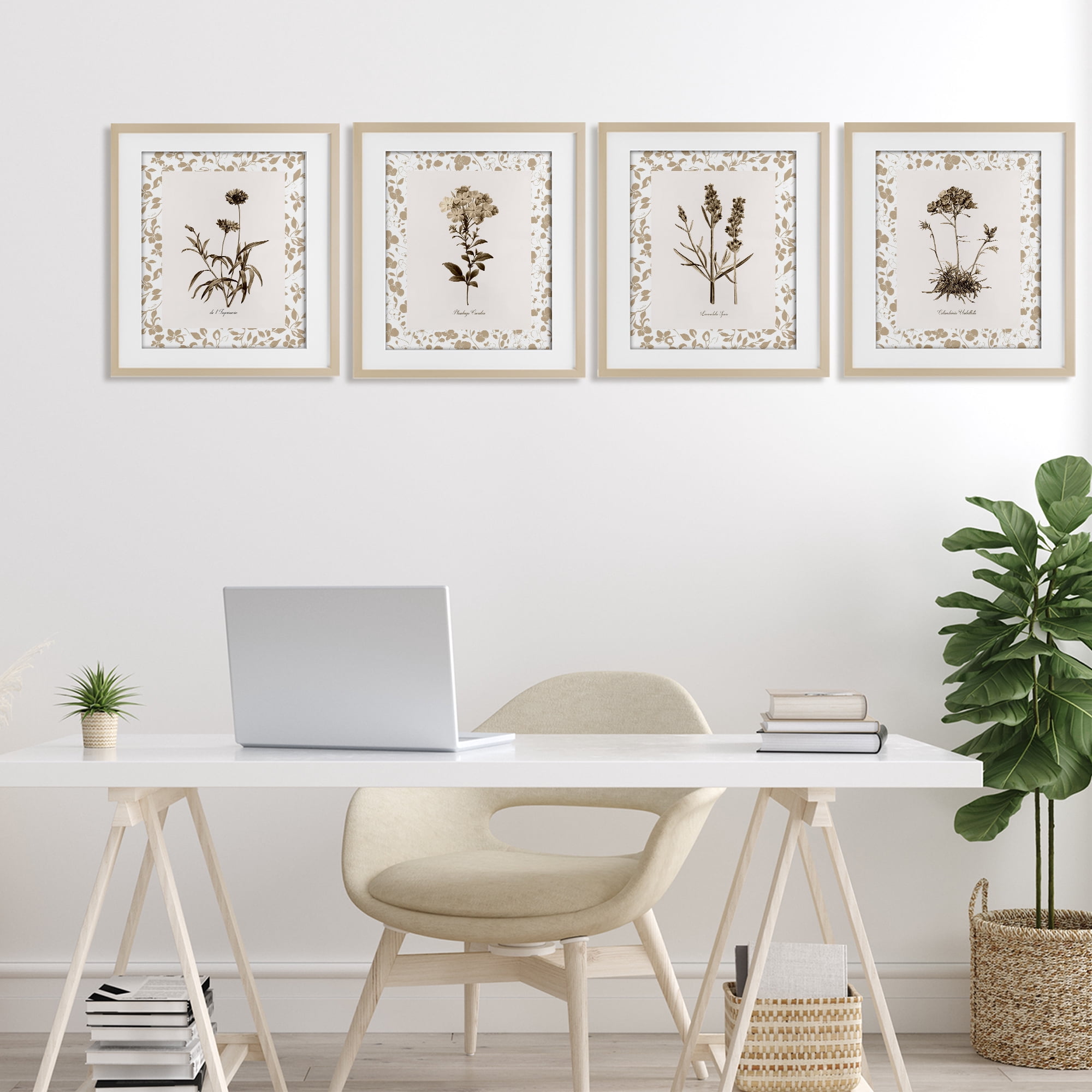 Stupell Industries Neutral Imperial Flower Studies 4 Piece Birch Framed Print Under Glass Set, design by Kelly Donovan