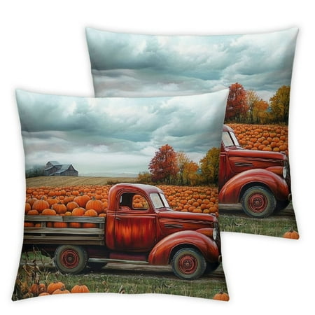 

FUMJ Pumpkins Field Short Plush Pillowcase Set of 2 Aesthetic Decorative Autumn Theme Home Furnishing 24x24in