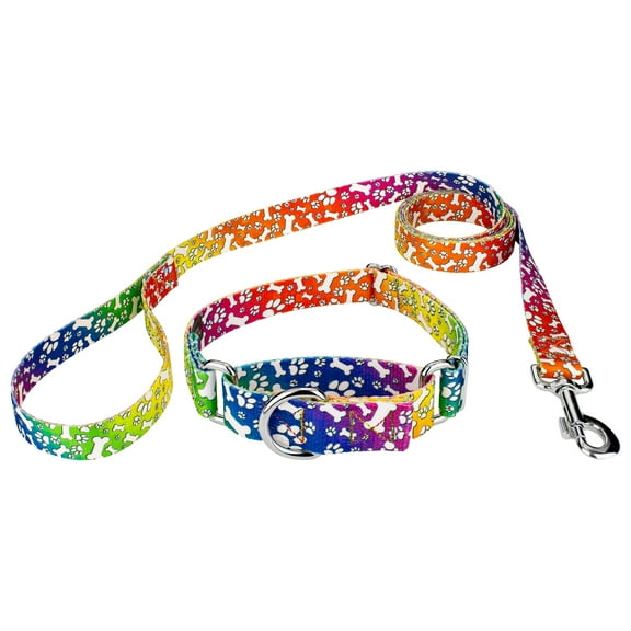 Country Brook Petz® Trippy Doggo Martingale Dog Collar and Leash, Medium