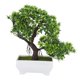 thumbnail image 4 of Bonsái artificial, flor falsa, planta en maceta, hogar, oficina, jardín, decoración interior NikouMX Muebles, 4 of 7