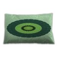 thumbnail image 1 of Ahgly Company Indoor Rectangular Contemporary Lumbar Throw Pillow, 13 inch by 19 inch, 1 of 5