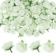 thumbnail image 1 of Uxcell 50 Paquete Cabezas de Rosas Artificiales 1.2'' Pequeñas Cabezas de Rosa de Seda Falsa para Decoraciones de Ramo de Boda Fiesta Color Crema, 1 of 7
