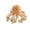 Brown, variant on syligr Soft Octopus Plush Toy for Bed Sofa Desk, Sea Creature Stuffed Animal, Compact Travel Marine Life Plush Doll, Summer Ocean Gift for Girlfriend Boyfriend, Birthday Present, 8.7 Inch