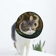 thumbnail image 1 of Sloth Leaves Soft Cat Dog Recovery Collar Adjustable Cat Cone Wound Healing Protective After Surgery for Pet Cone, 1 of 7