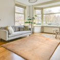 thumbnail image 1 of Faux Fur Plush Washable Area Rug for Bedroom, Living Room, Teen Room - Camel Beige, 6x9, 1 of 8