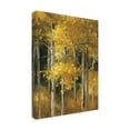 thumbnail image 2 of Trademark Fine Art 'Golden Birches' Canvas Art by Julia Purinton, 2 of 3